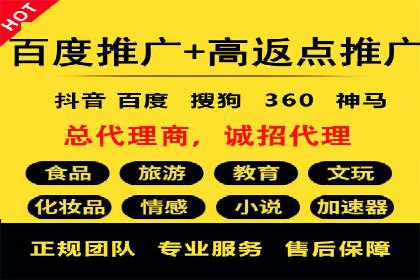 竞价托管服务案例解析